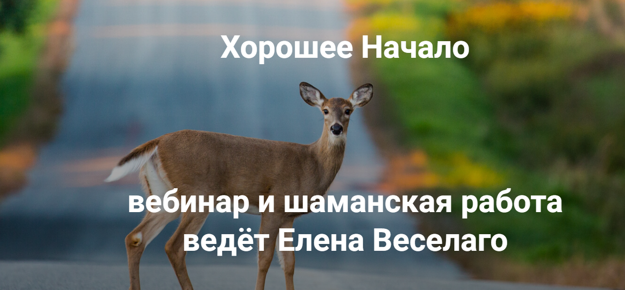 [Институт Открытого поля] Елена Веселаго → Хорошее_0.png